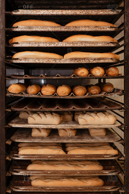Loafs of yummy fresh bread and buns placed on metal trays on rack in bakery