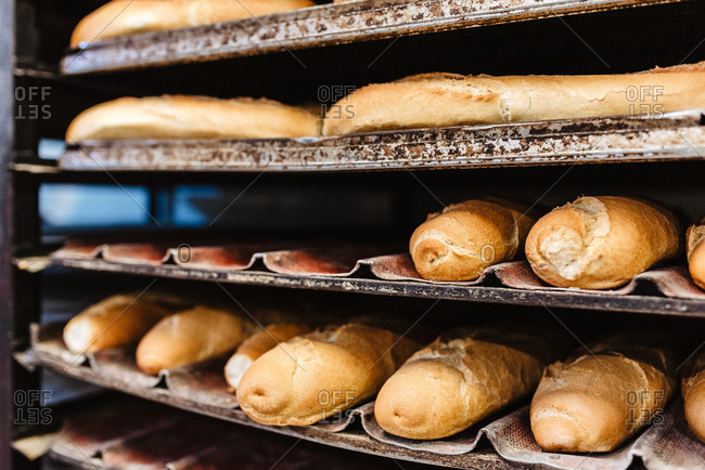 Loafs of yummy fresh bread and buns placed on metal trays on rack in bakery