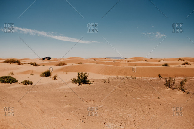 Trails from vehicle wheels on sandy dunes in arid desert on sunny day in morocco