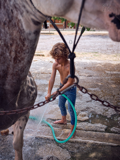 Barefoot boy hosing down stallion with fresh water on farm terrace