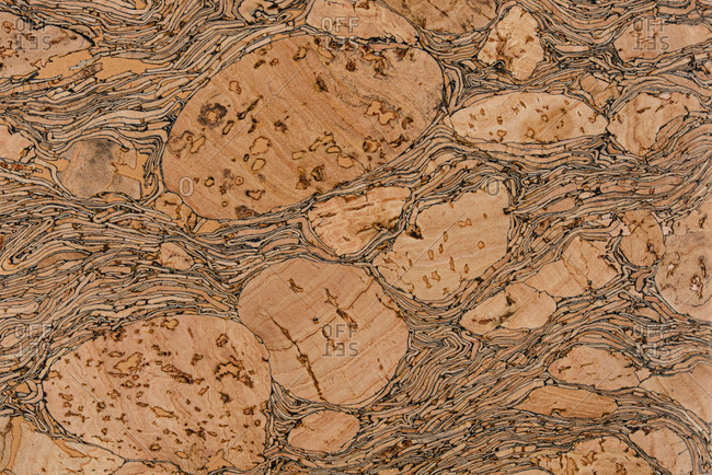 Abstract background of cork surface with natural chaotic texture in light brown color