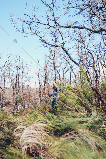 Man hiking in bare forest with colorful tall grass
