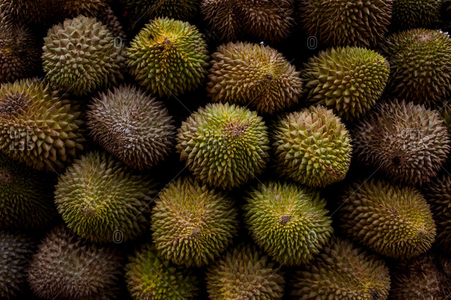 Durian for sale in a market in the Philippines