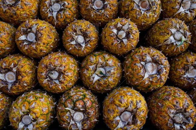 View of several yellow pineapples