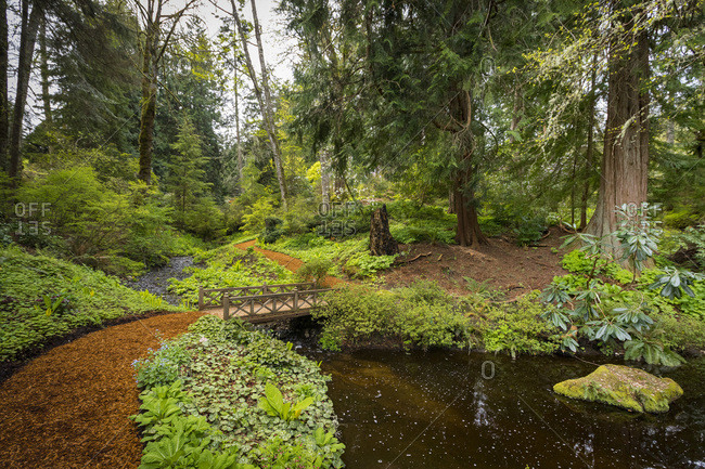 Beautiful kubota garden