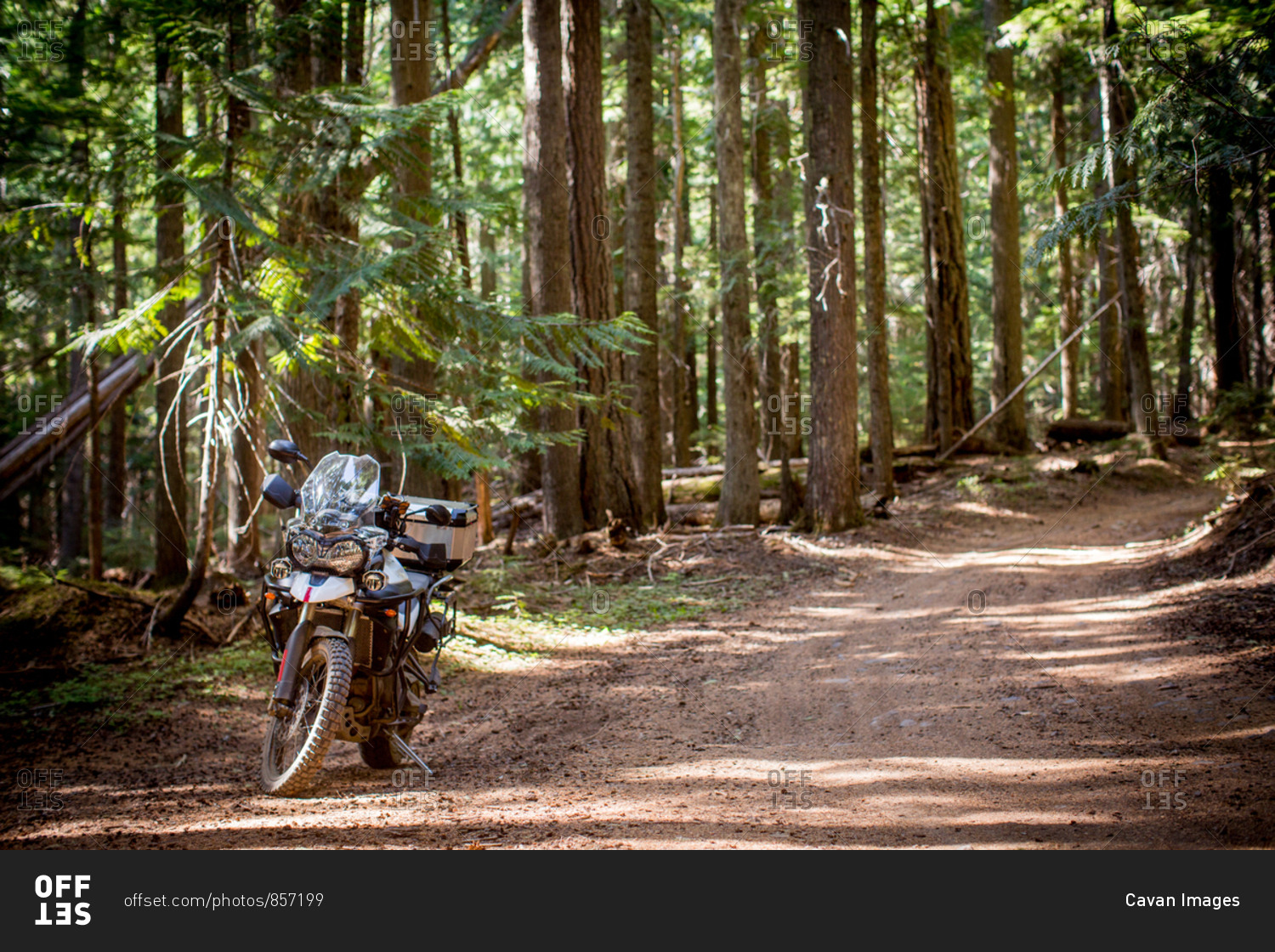 Adventure motorcycle ride down forest dirt road, near mt. hood oregon