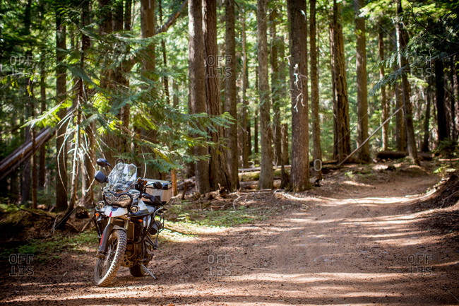 Adventure motorcycle ride down forest dirt road, near mt. hood oregon