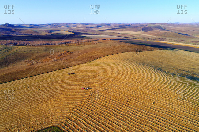 Aerial golden fields of autumn