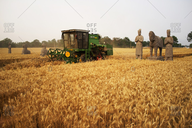 September 11, 2019: The field