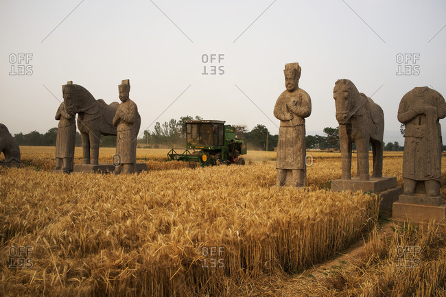 September 11, 2019: The field