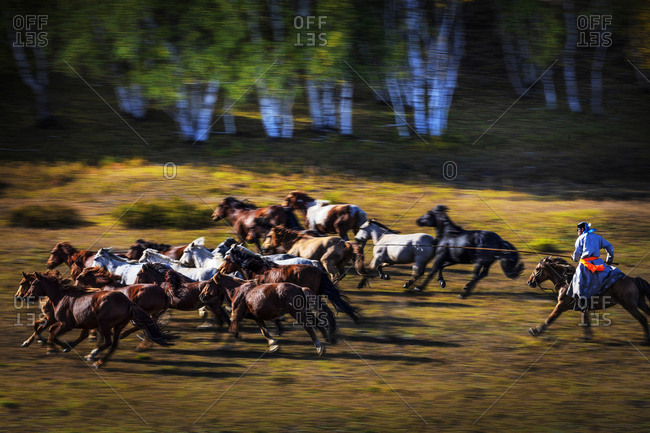 September 11, 2019: She in Inner Mongolia