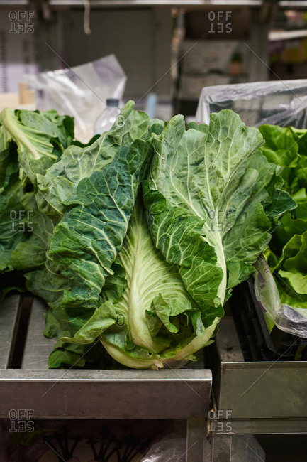 Market stalls with grocery, lettuce heads.