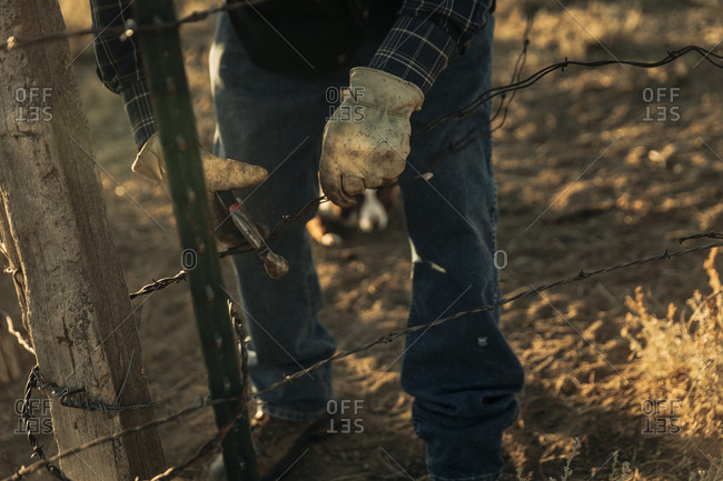 Rancher fixing barbed wire fence