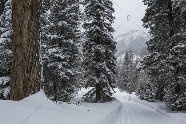 Winter landscape in southwest colorado