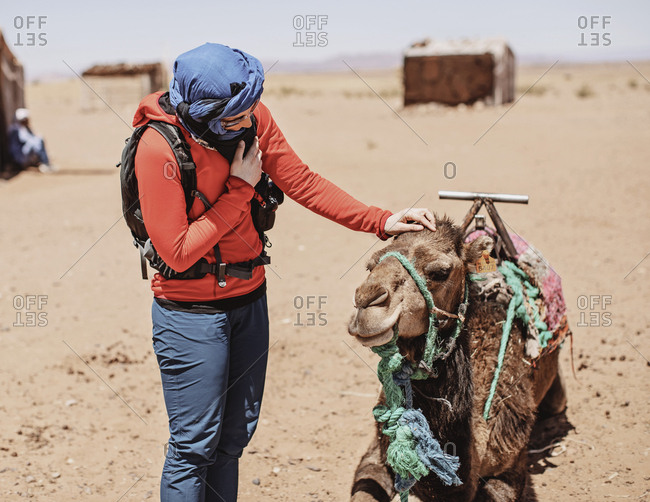 Sahara Desert, Morocco - April 7, 2019: Female western tourist with hijab pats a camel in the desert, morocco