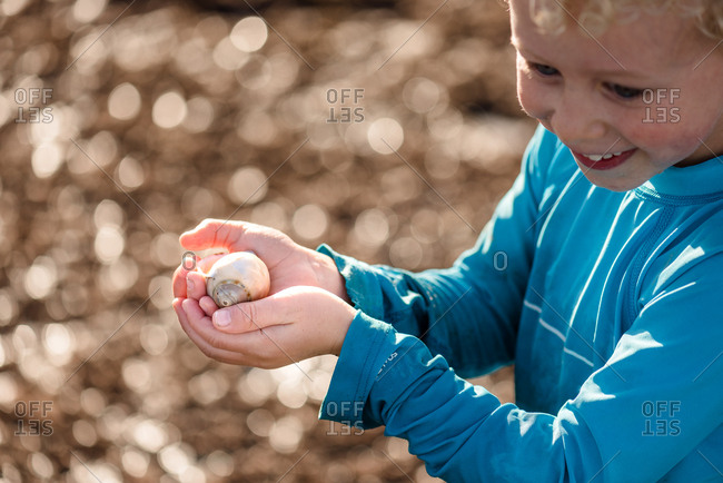 Boy holding snail found on the beach