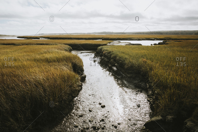 View of salt water marshes