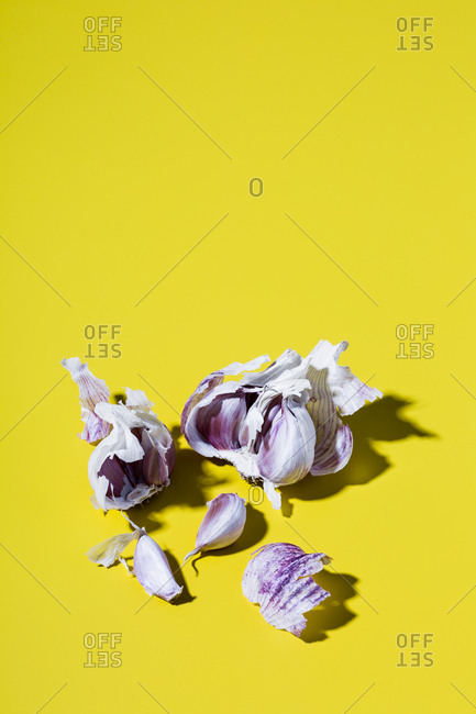 Garlic on yellow background