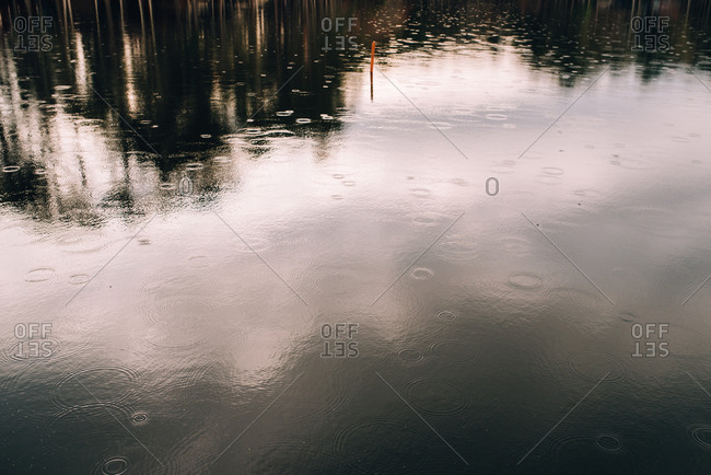 Raindrops rippling in a lake as they hit the water