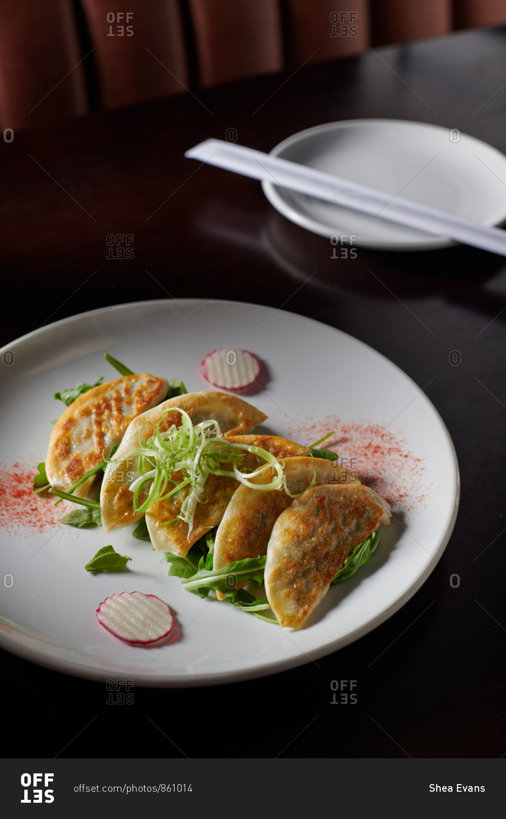 Pan seared pot stickers served at a Korean Restaurant garnished with arugula, radish and green onions