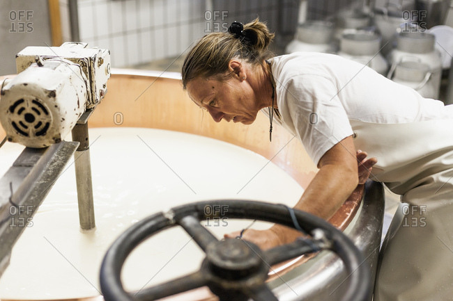 Sennerin verarbeitet frische Milch zu wrzigem Alm-Kse, Reportage: Vom Milch kochen, Lab zufgen bis zum Kselaib, der dann im Keller reifen darf,