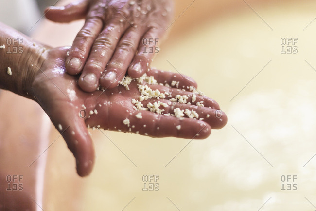 Die Sennerin verarbeitet frische Milch zu wrzigem Alm-Kse, prfen es Ksebruches