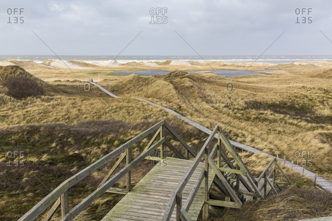 Germany, Northern Germany, Amrum, Bohlenweg through the dune landscape
