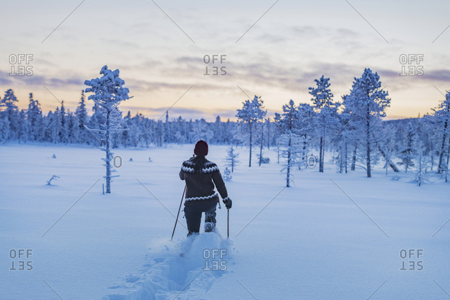 Nordic walking at winter - Offset