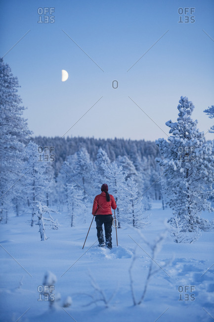 Nordic walking at winter - Offset