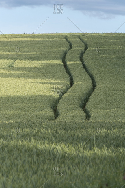 Tire tracks on field - Offset