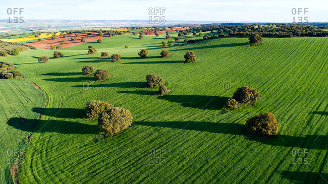 aerial photographs taken with drone on a cereal field in Junquera de Henares. Guadalajara Spain