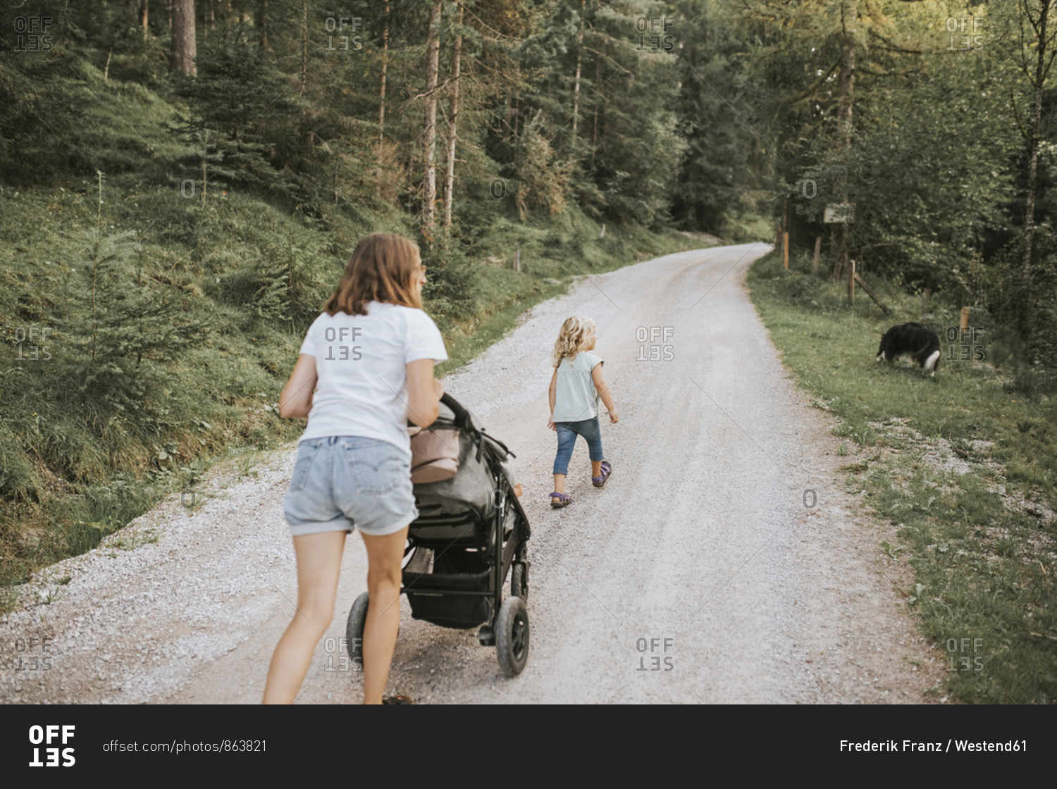 Mother with daughter- stroller and dog walking on forest path
