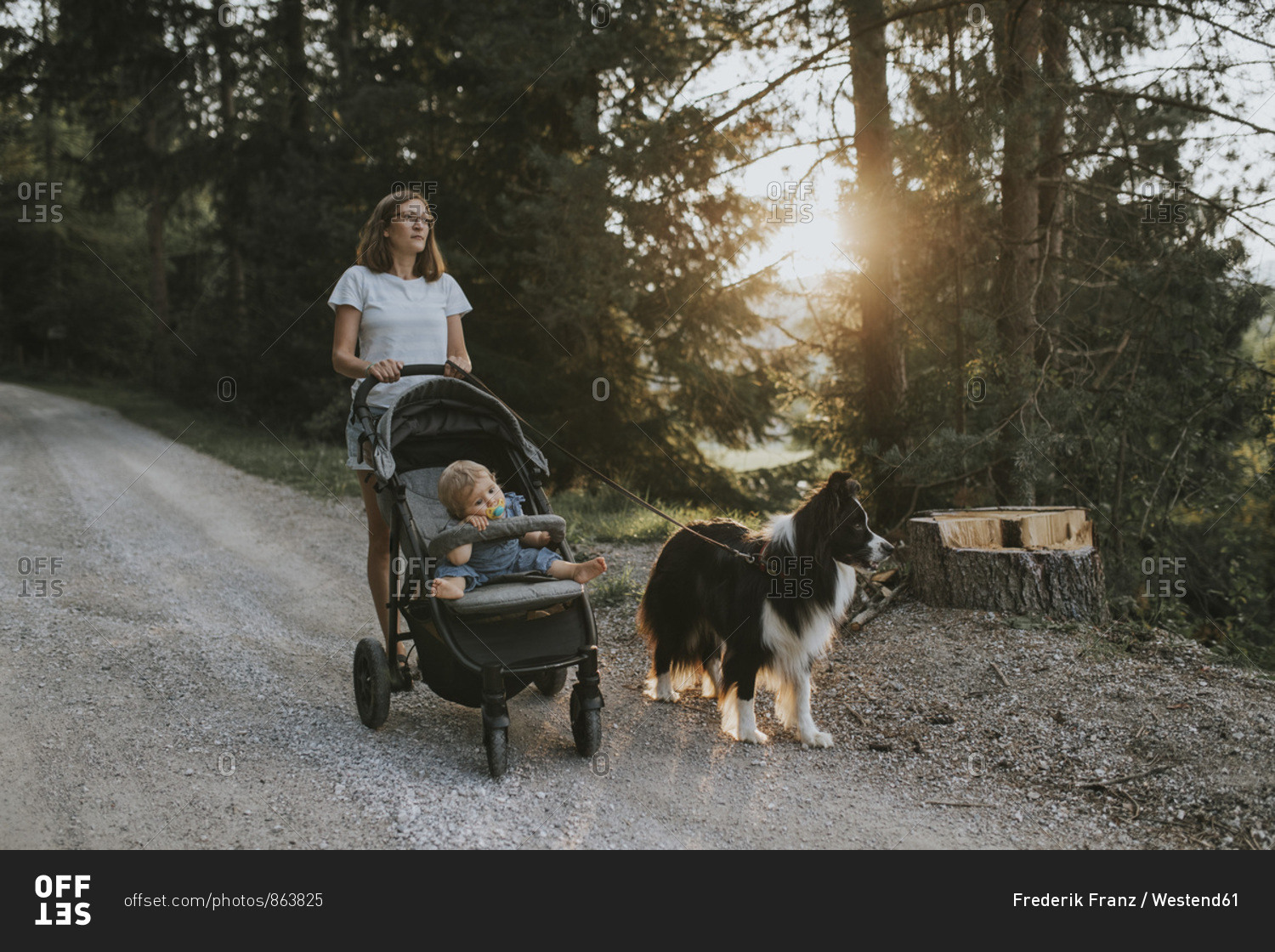 Mother with baby in stroller and dog walking on forest path at sunset
