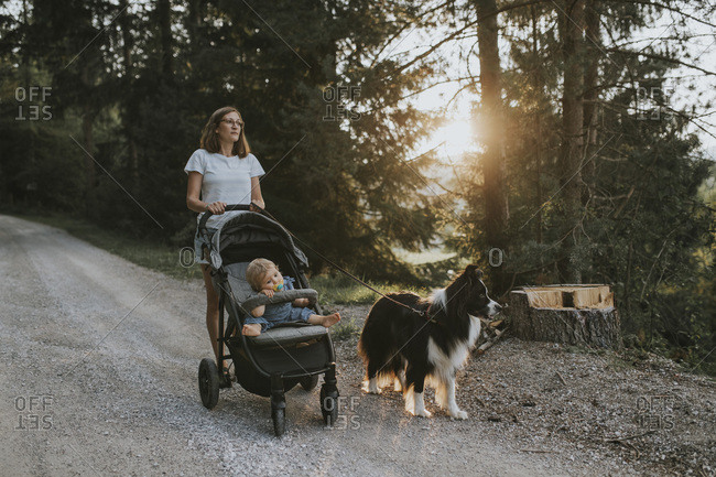 Mother with baby in stroller and dog walking on forest path at sunset