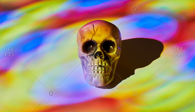 Skull on multi-colored background