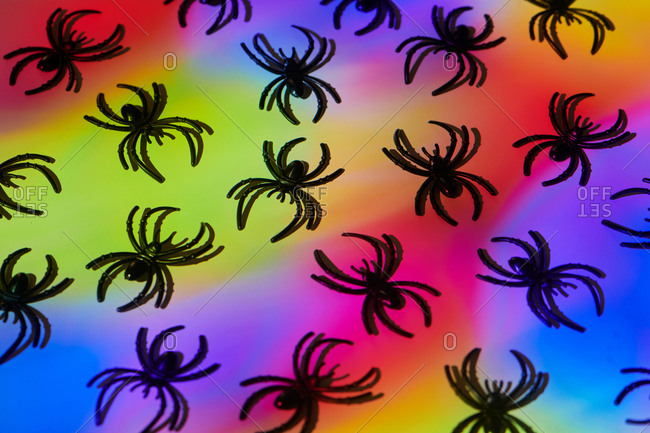 Spiders on multi-colored background