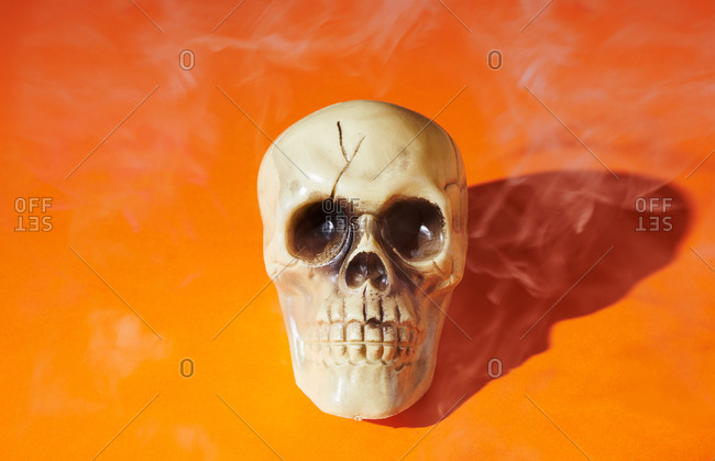 Skull on orange background