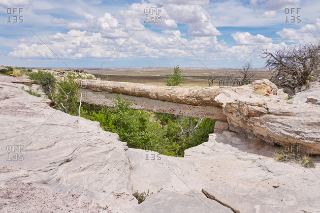Rock formations in the Petrified Forest National Park, Arizona