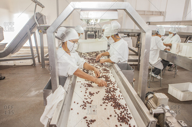 Mendoza, Argentina February, 09 2015: Side view of adult ethnic ladies in uniform sorting fresh raisins on conveyor while working in factory