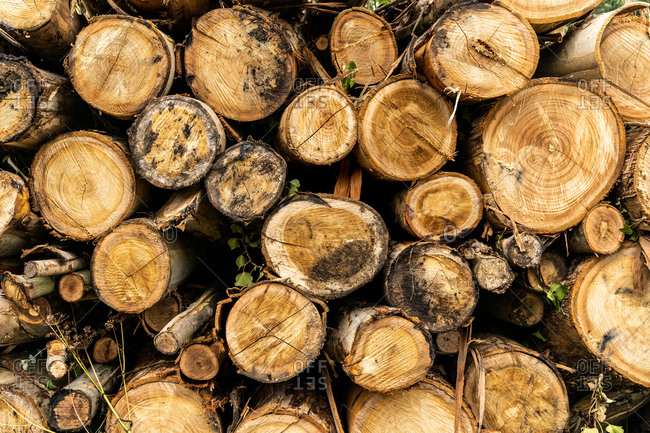 Abstract background of stacked woodpile from cut logs
