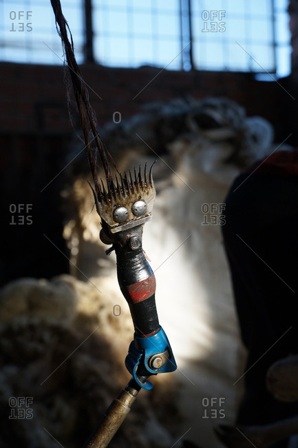 Professional sheep shearing razor hanging on rope in dark barn on farm