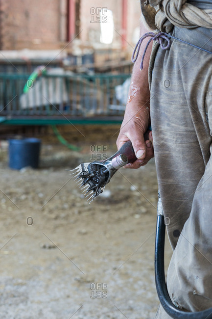 Professional sheep shearing razor hanging on rope in dark barn on farm