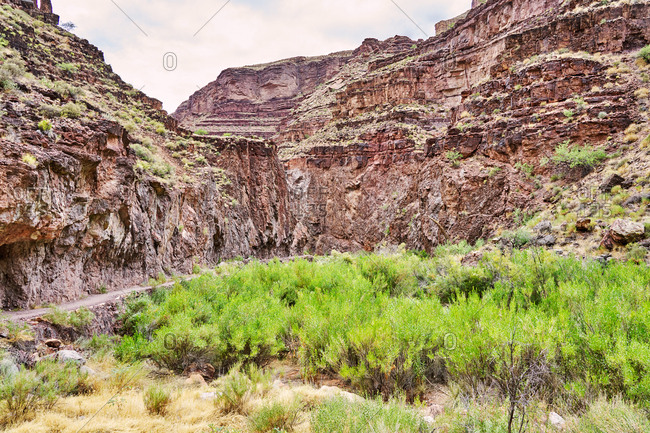 View of canyons and desert plants, North Kaibab Trail, Grand Canyon National Park, Arizona