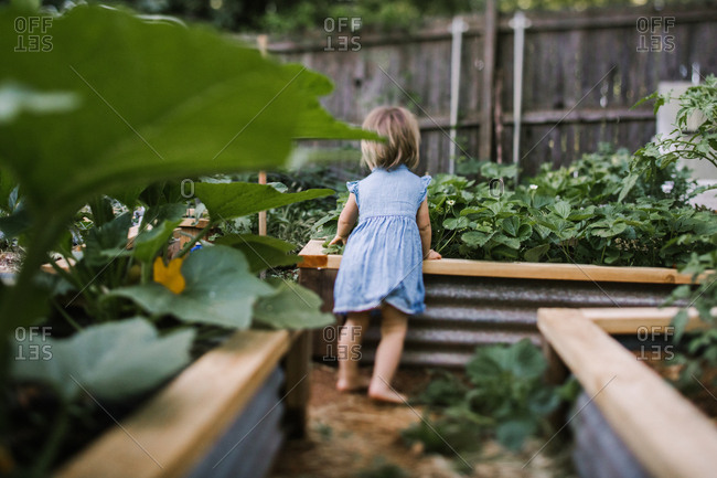 Soft focus portrait of a toddler girl in a backyard vegetable garden