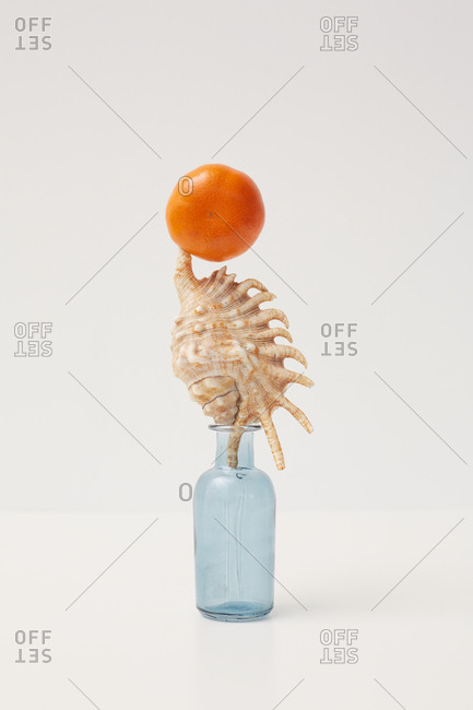 Tangerine and seashell on small glass bottle art installation