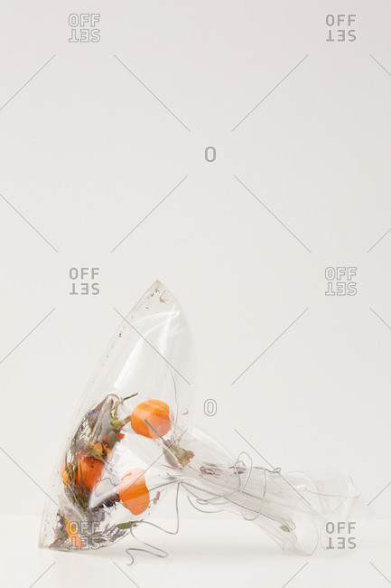 Transparent plastic bag with herbs and tangerines tied with stainless steel wire