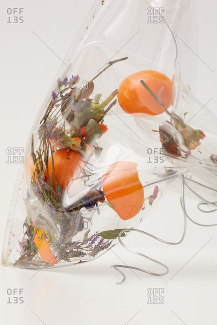Close up shot of transparent plastic bag with herbs and tangerines