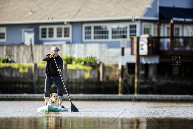 Middle aged man paddleboarding on a lake with his dog.