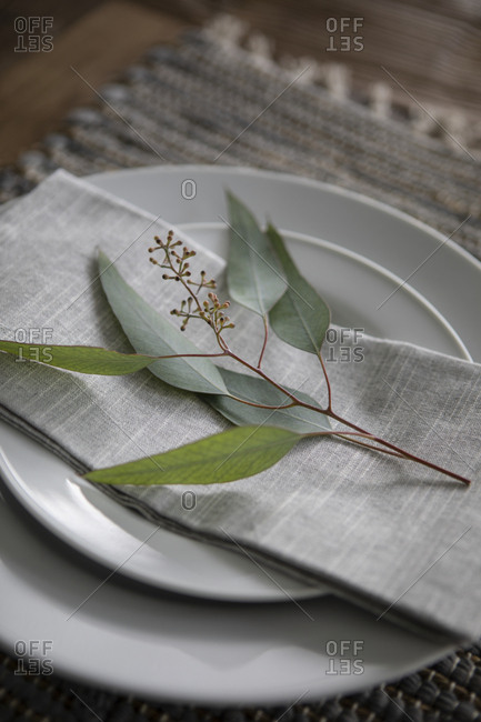 Small branch with leaves on a linen napkin on plate