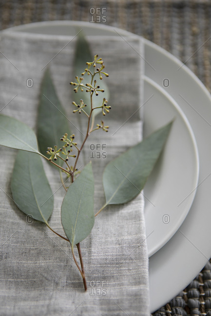 Overhead view of a small branch with leaves on a linen napkin on plate
